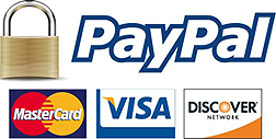 Visa, Discover, MasterCard, PayPal
