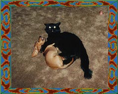 Lance & Leo playing around - 1990