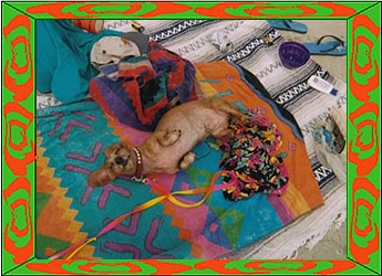 Leo sunning at the beach - 1999